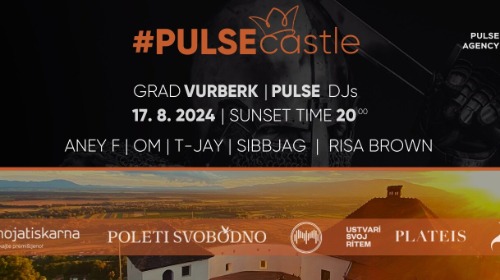 PULSECASTLE I ANEY F & PULSE DJS