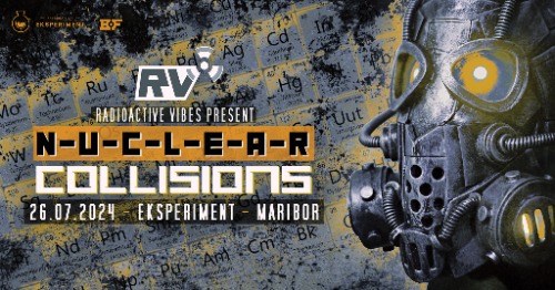 Nuclear Collisions