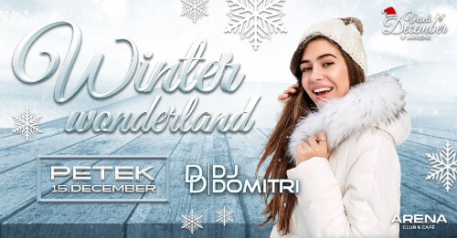 Winter Wonderland w. DJ Domitri