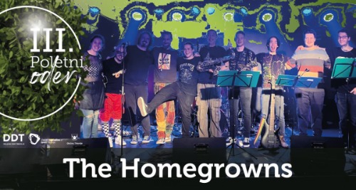 Koncert: The Homegrowns